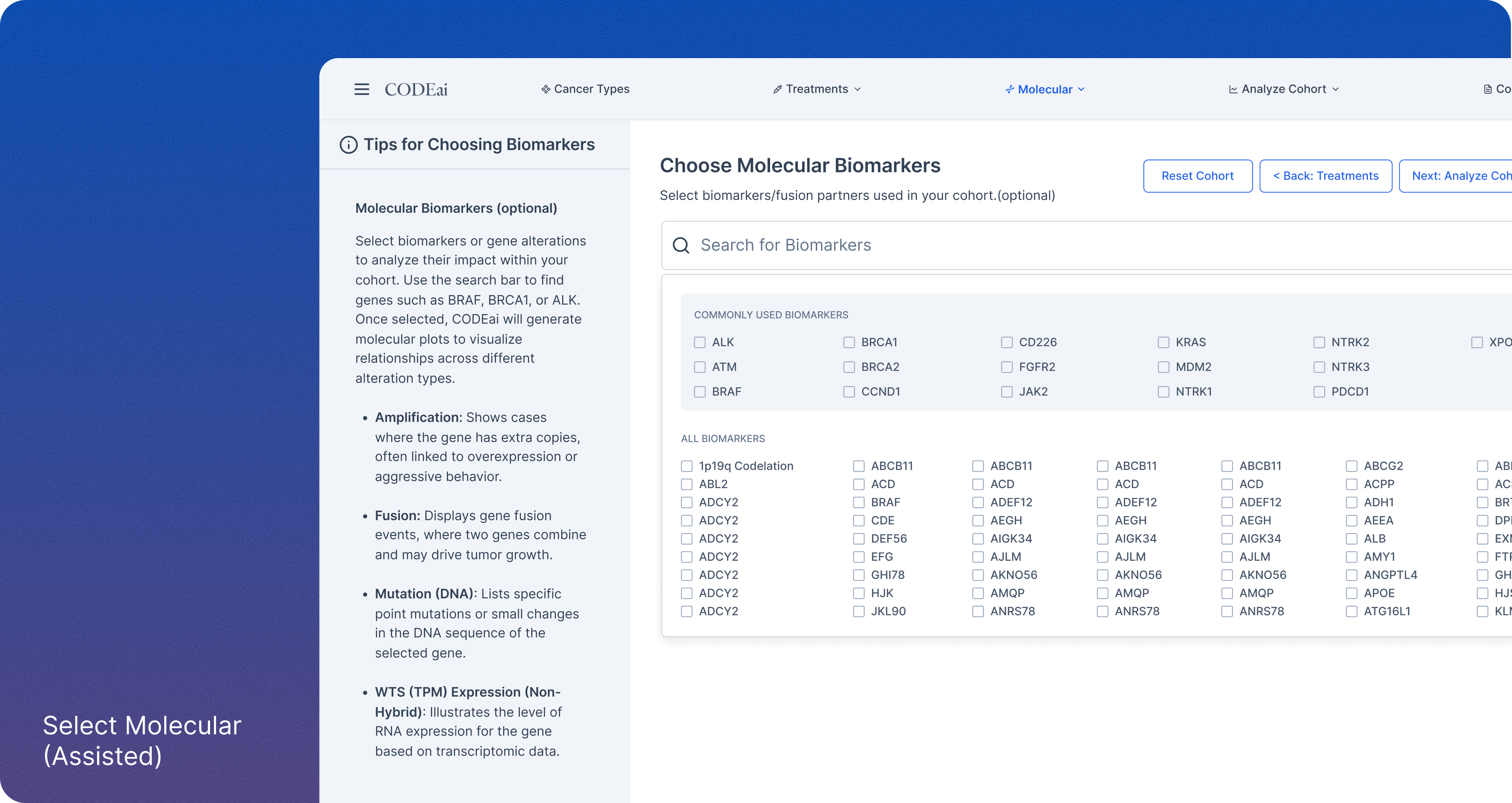 CODEai Molecular Assisted mode